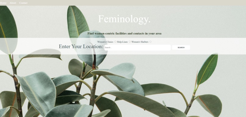 Feminology – screenshot 1