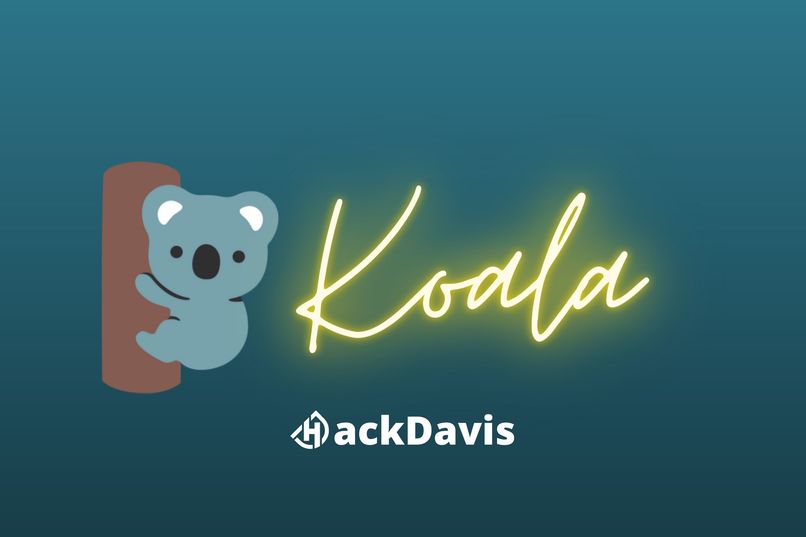 Koala – screenshot 15