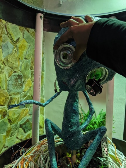 Fortuna – screenshot 2