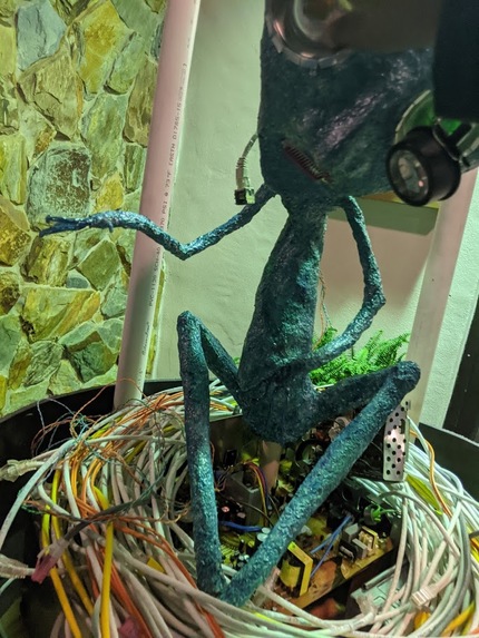 Fortuna – screenshot 4