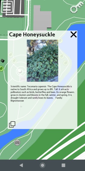 Arboretum Gallerium – screenshot 4