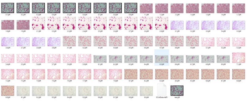 Proteus – screenshot 3