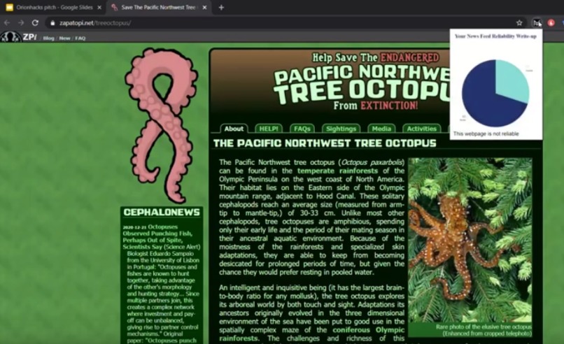 Magic Mirror – screenshot 2