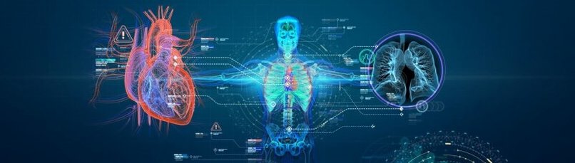 AI Radiologist – screenshot 2