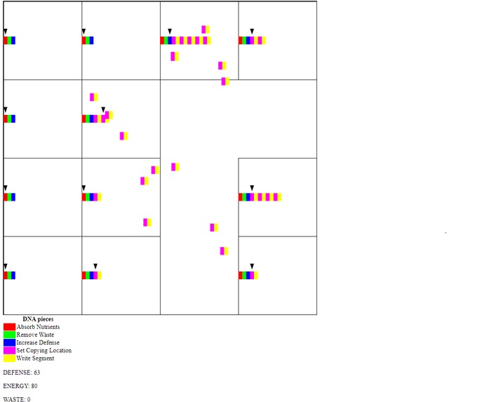 virus simulator – screenshot 3