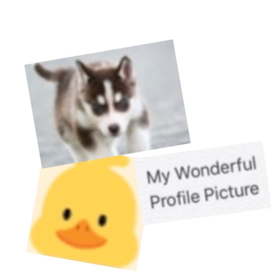 COVID-19 Website - All About COVID-19 – screenshot 1