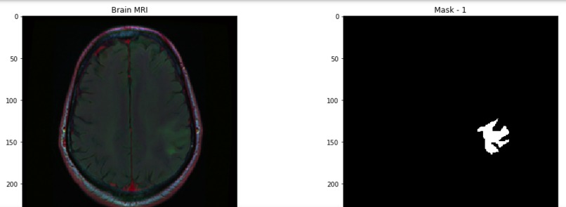 AMIP -- Andrew's Medical Image Project – screenshot 3