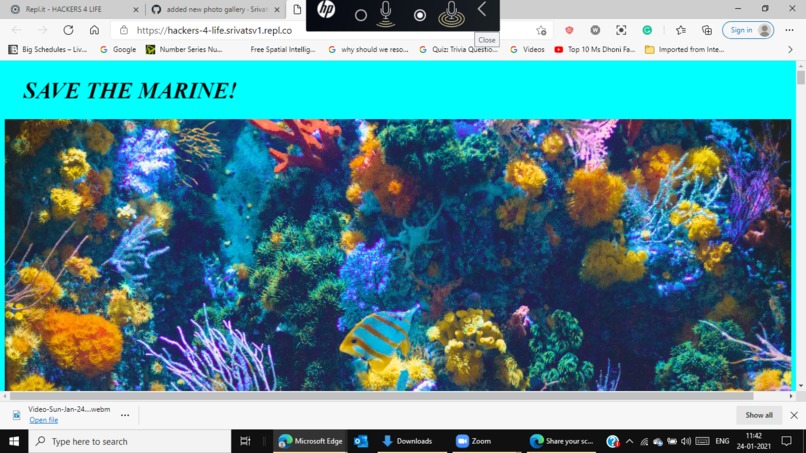 Save The Marine – screenshot 1