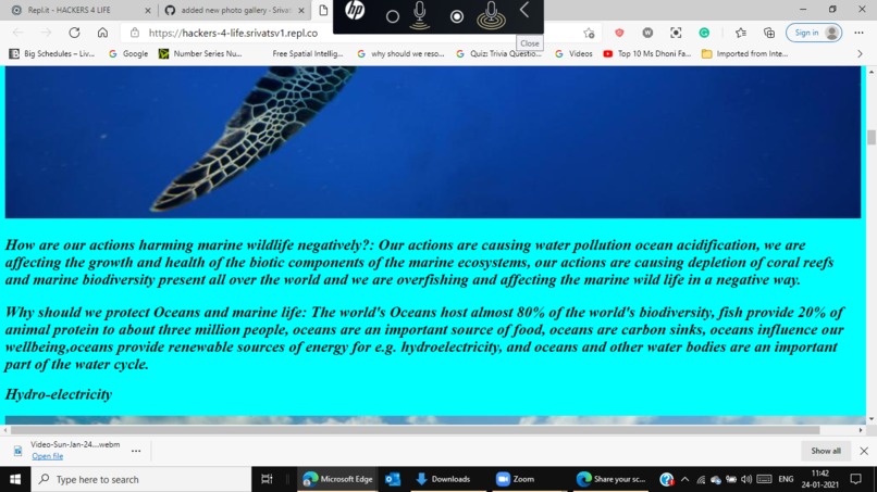 Save The Marine – screenshot 6