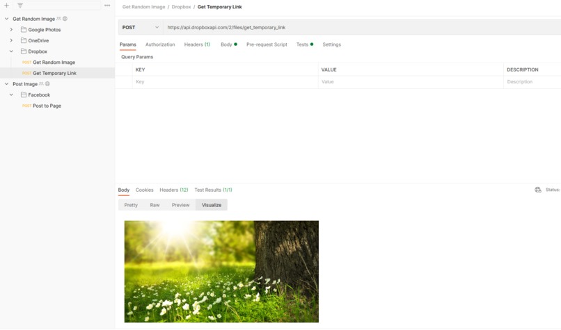 Post random image from drive to Facebook – screenshot 1