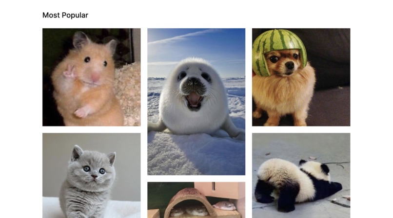 Moodtastic – screenshot 2