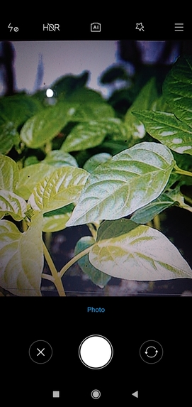 Plant Disease Identification – screenshot 2