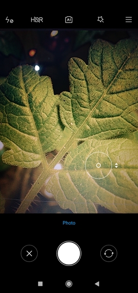 Plant Disease Identification – screenshot 4