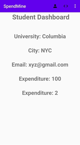 Spend Mine – screenshot 5