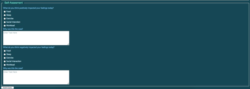 Mental Health Check-In – screenshot 10