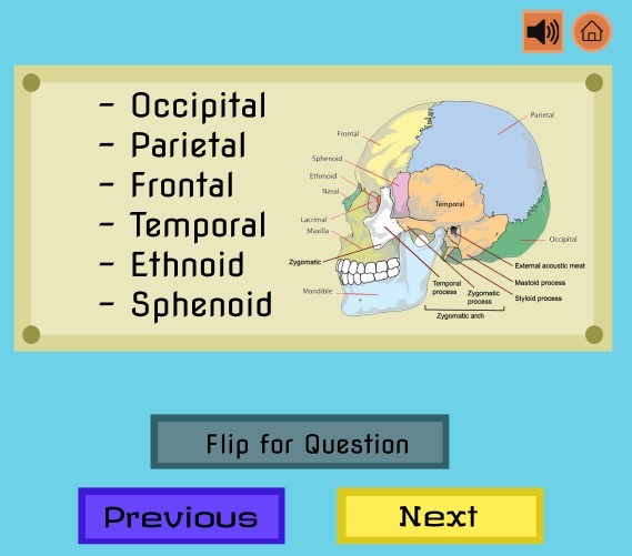 ROYO (Revise On Your Own) – screenshot 5