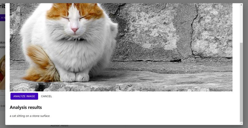 Scribe – screenshot 5