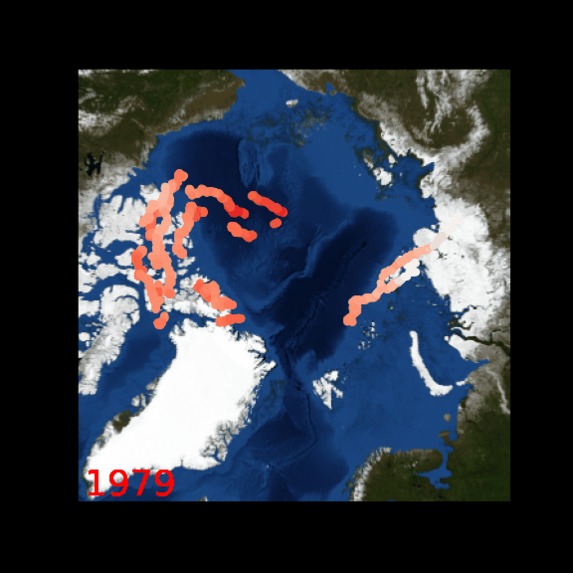 Team Vel-ICE – screenshot 3