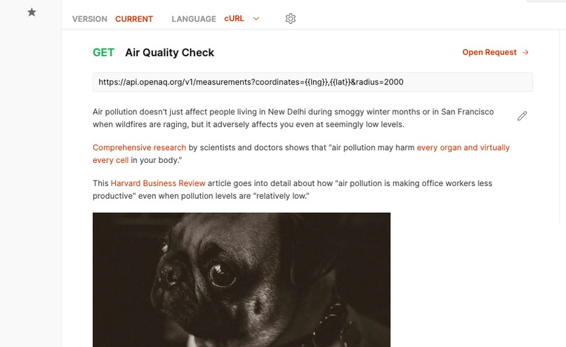 Morning Zen with Coco – screenshot 1