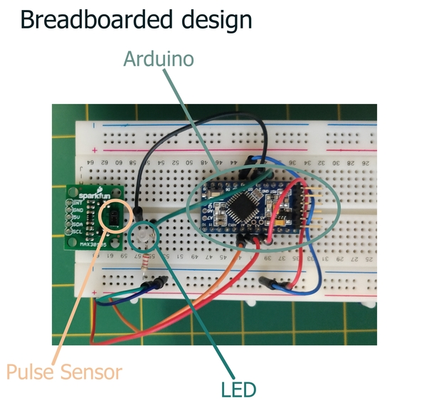 Team 2 - Buddy – screenshot 2