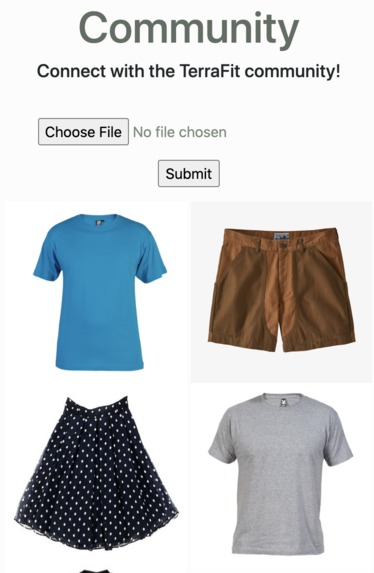Team 44 -TerraFit – screenshot 5