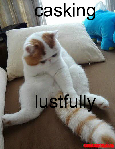 Random Picture Generator – screenshot 1