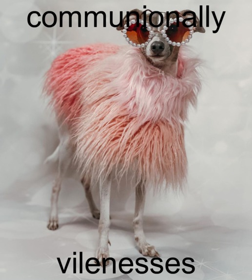 Random Picture Generator – screenshot 4