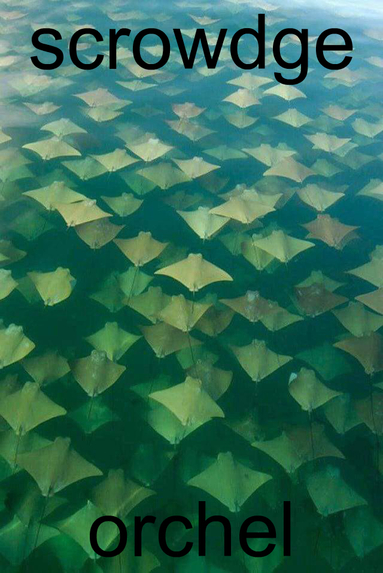 Random Picture Generator – screenshot 7