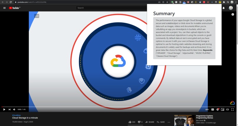 SummarizeYT – screenshot 3