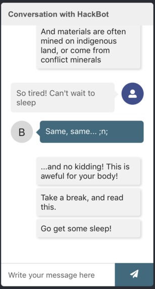 HackBot – screenshot 2