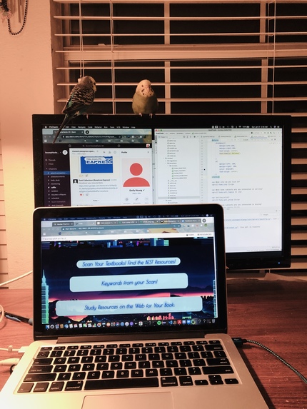 Textbook Perfect – screenshot 9