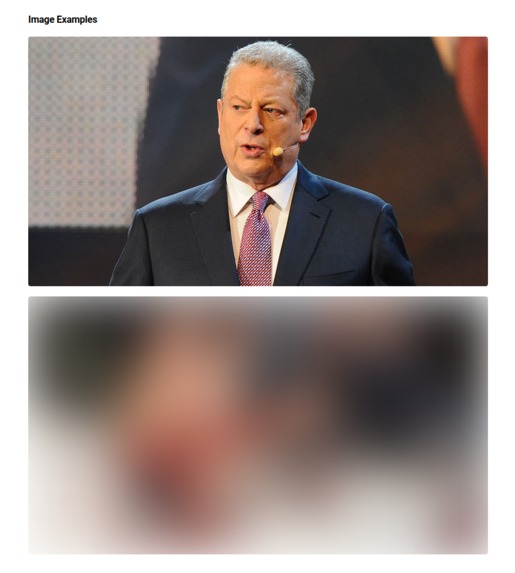 WWW Filter – screenshot 2