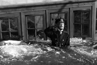 Business Success and Similarity