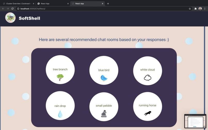 SoftShell – screenshot 9