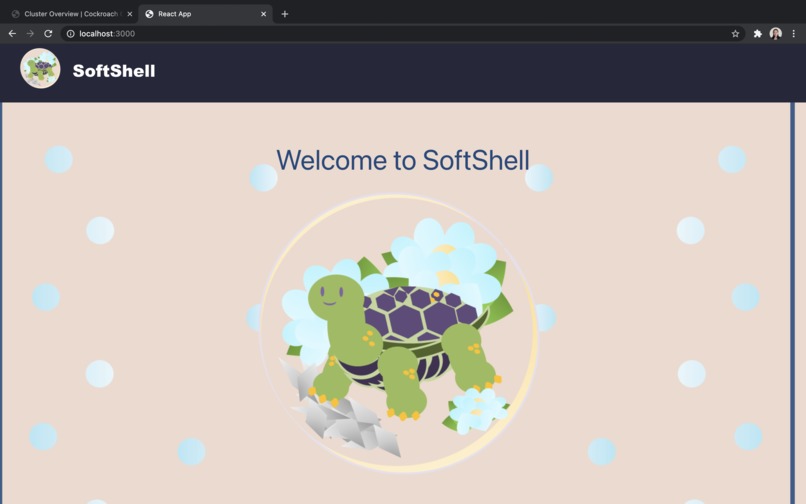 SoftShell – screenshot 11
