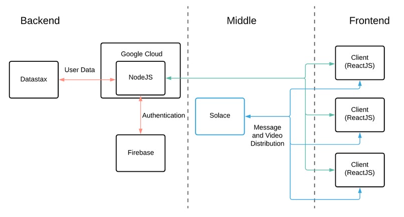 What's in my Zoo?! – screenshot 8