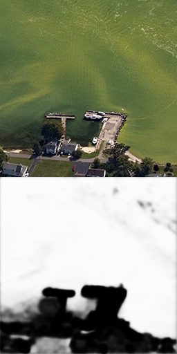 Algae Vision – screenshot 1