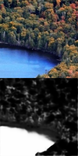 Algae Vision – screenshot 2