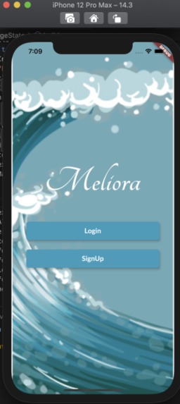 Meliora – screenshot 6
