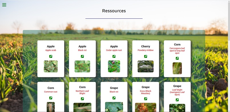 Save My Plant – screenshot 5