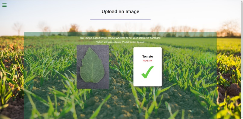 Save My Plant – screenshot 3