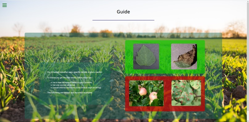 Save My Plant – screenshot 4