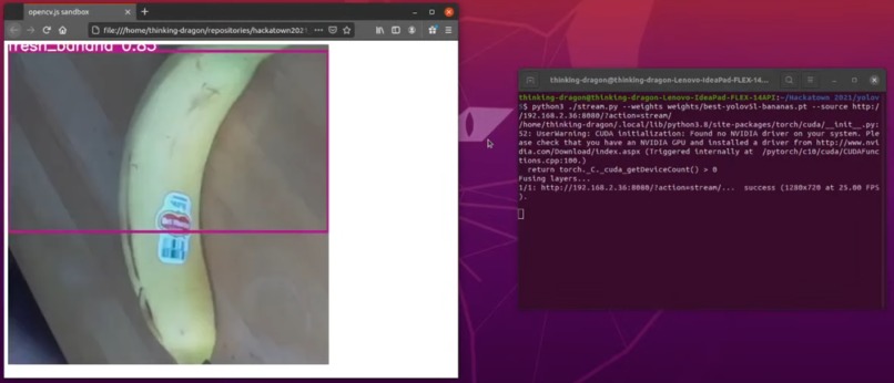 Rotten Bananas – screenshot 1