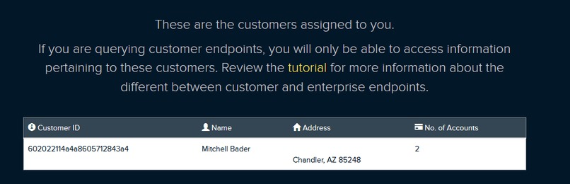 Capital One Banking Interface – screenshot 2