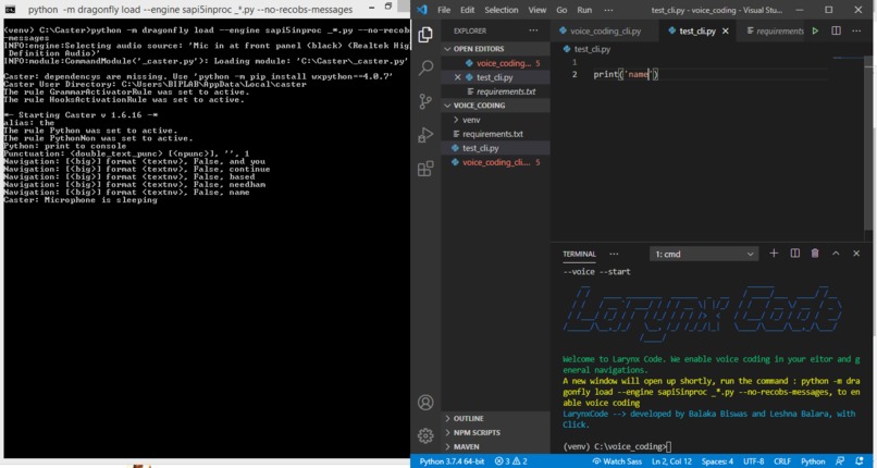 LarynxCode – screenshot 1