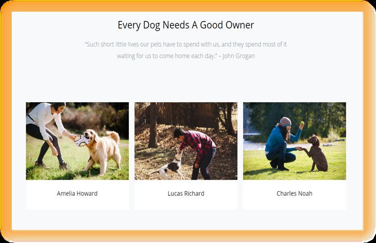 LoyalFriend – screenshot 3