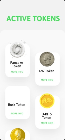 Project: Digital Beauty in the Streets – screenshot 1