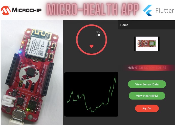 Micro-Health – screenshot 1