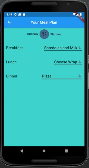Famealy Planner – screenshot 11