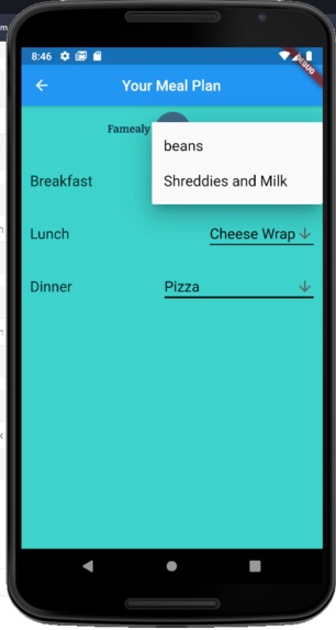 Famealy Planner – screenshot 12